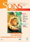 L'exercice multisite et multidirection des directeurs des soins