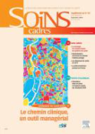 Chemin clinique et parcours de santé