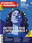 Enjeu, une présidentielle, pour quoi faire ?