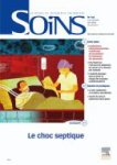 Ethnographie et recherche en soins infirmiers